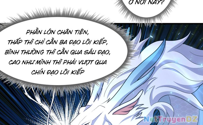 Đồ đệ ta đều là vô địch đại yêu Chapter 25 - Next Chapter 26