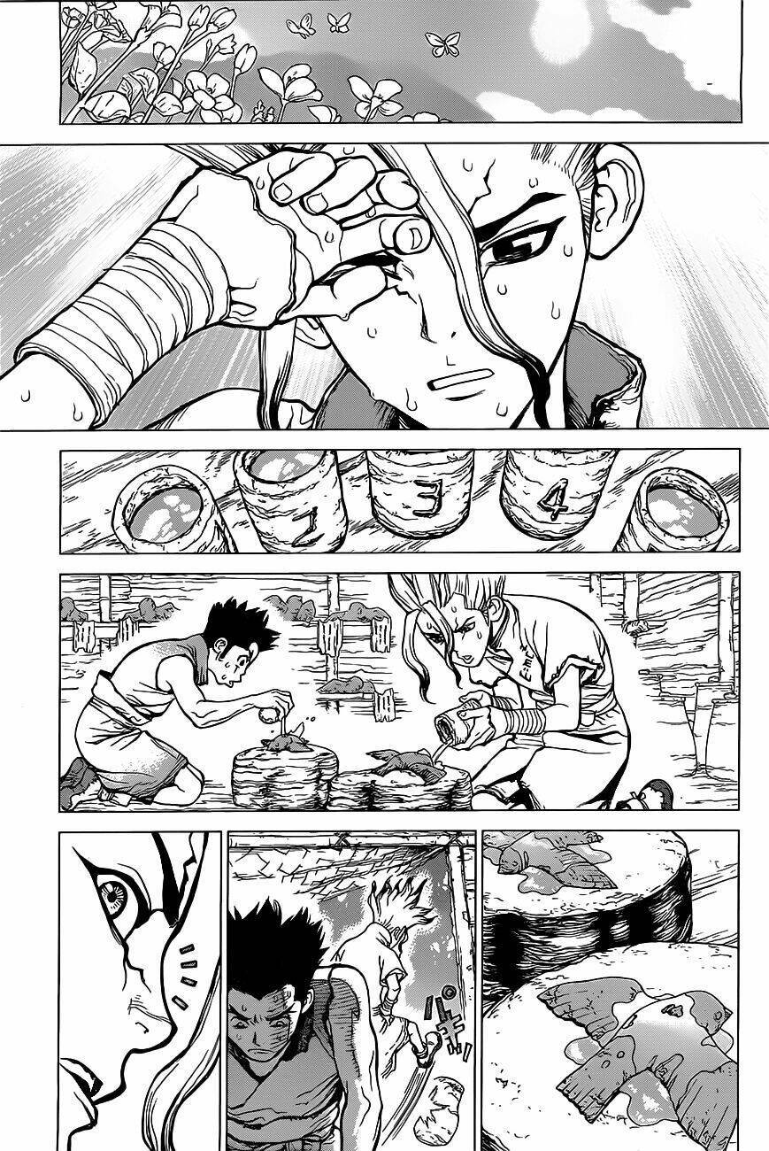 dr.stone - hồi sinh thế giới chapter 2 - Trang 2