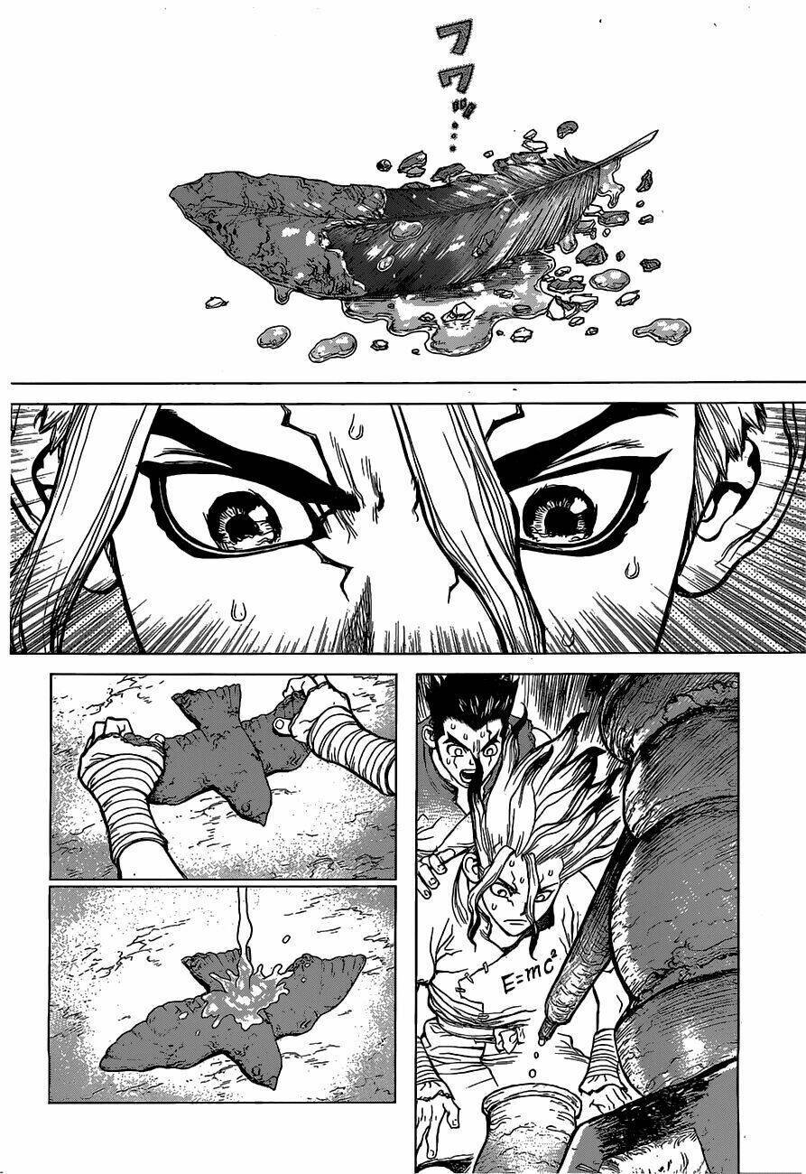 dr.stone - hồi sinh thế giới chapter 2 - Trang 2