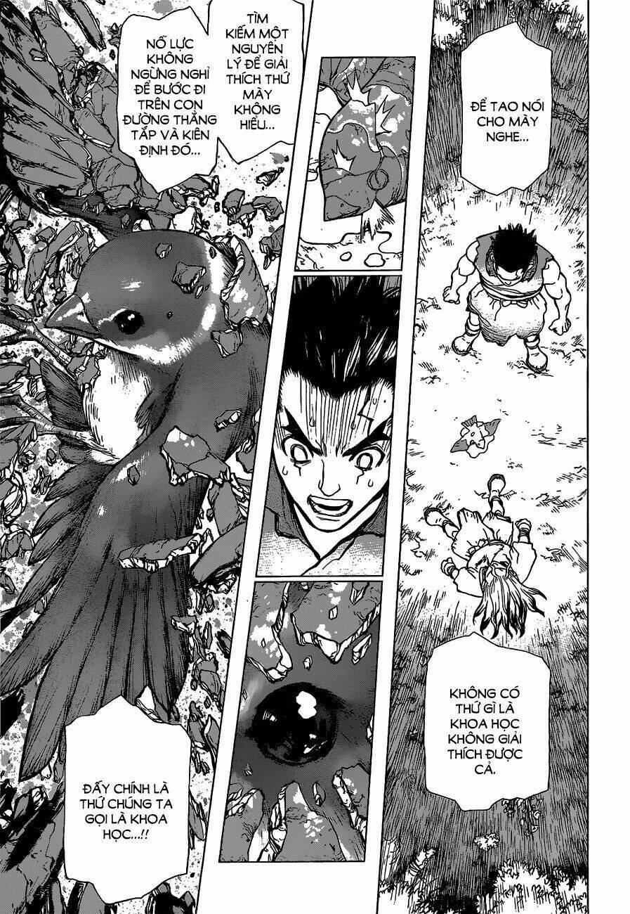 dr.stone - hồi sinh thế giới chapter 2 - Trang 2