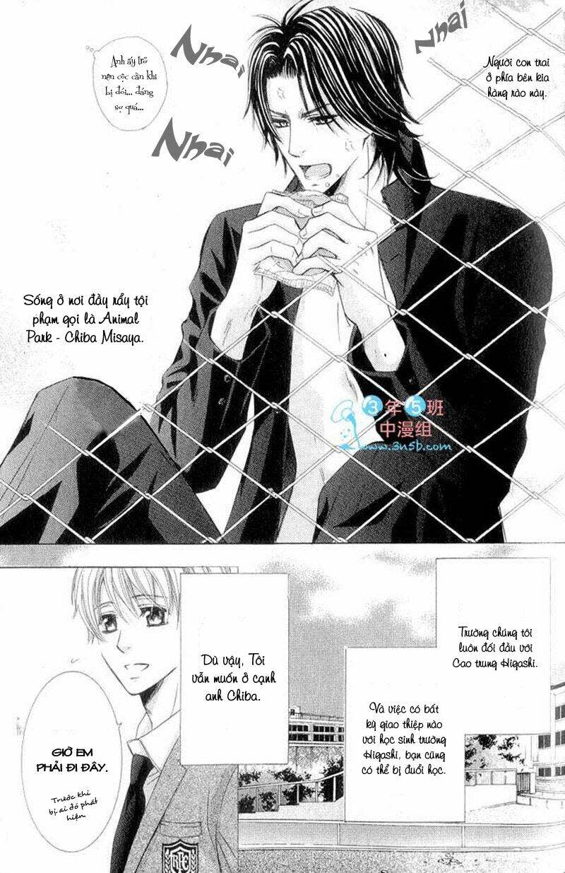 Hatsujou Animaru Chapter 4 - Trang 2