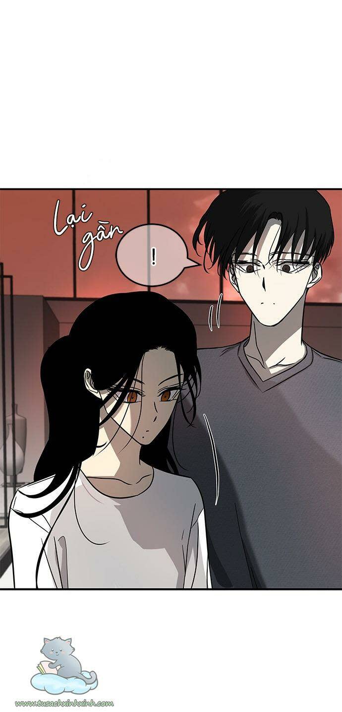 cạm bẫy chapter 79 - Next Chương 79