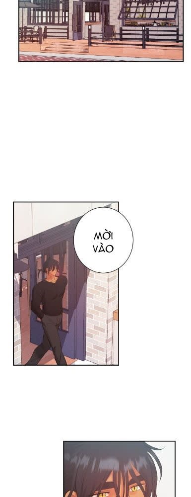 [18+] Một Lòng Một Dạ 2 Chap 17.1 - Trang 2