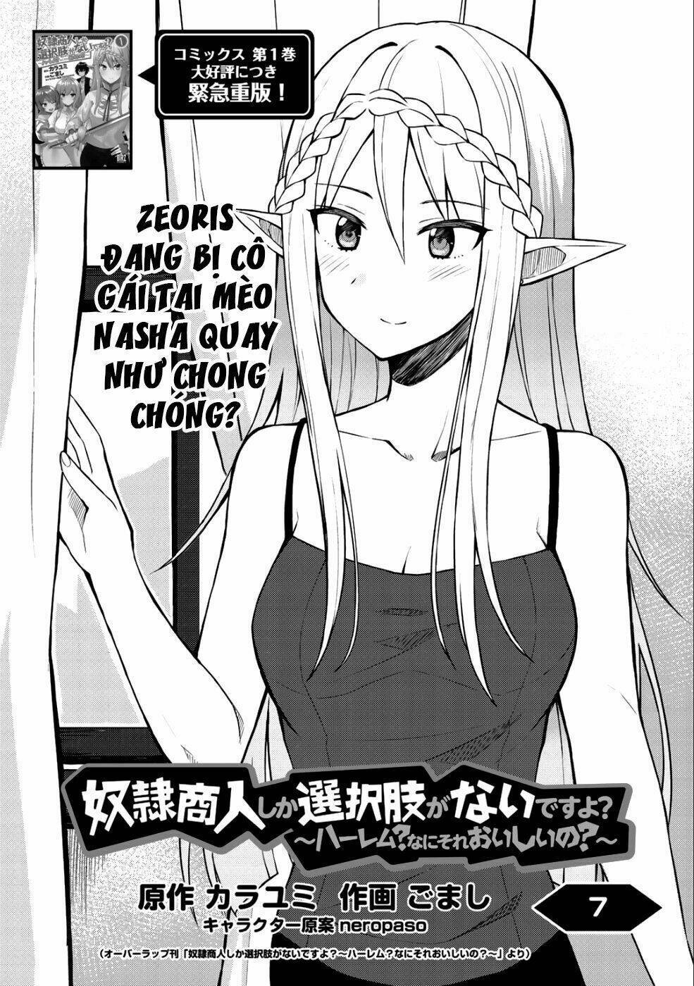 Dorei Shounin Shika Sentakushi Ga Nai Desu Yo? Harem? Nani Sore Oishii No? Chapter 7 - Next Chapter 8