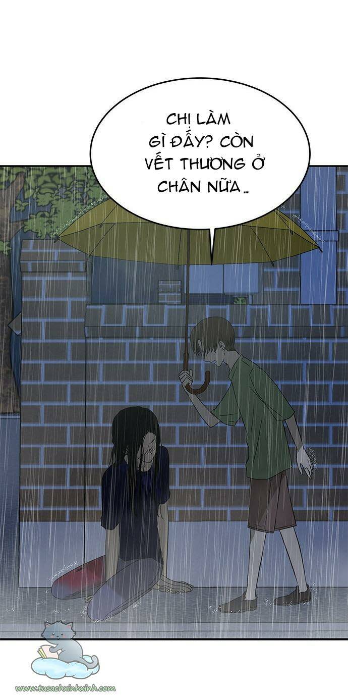 cạm bẫy chapter 51 - Next Chương 51