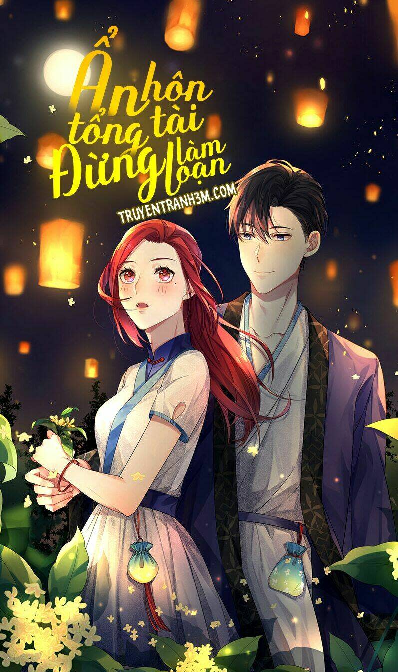 Ẩn Hôn Tổng Tài Đừng Làm Loạn Chapter 19 - Trang 2