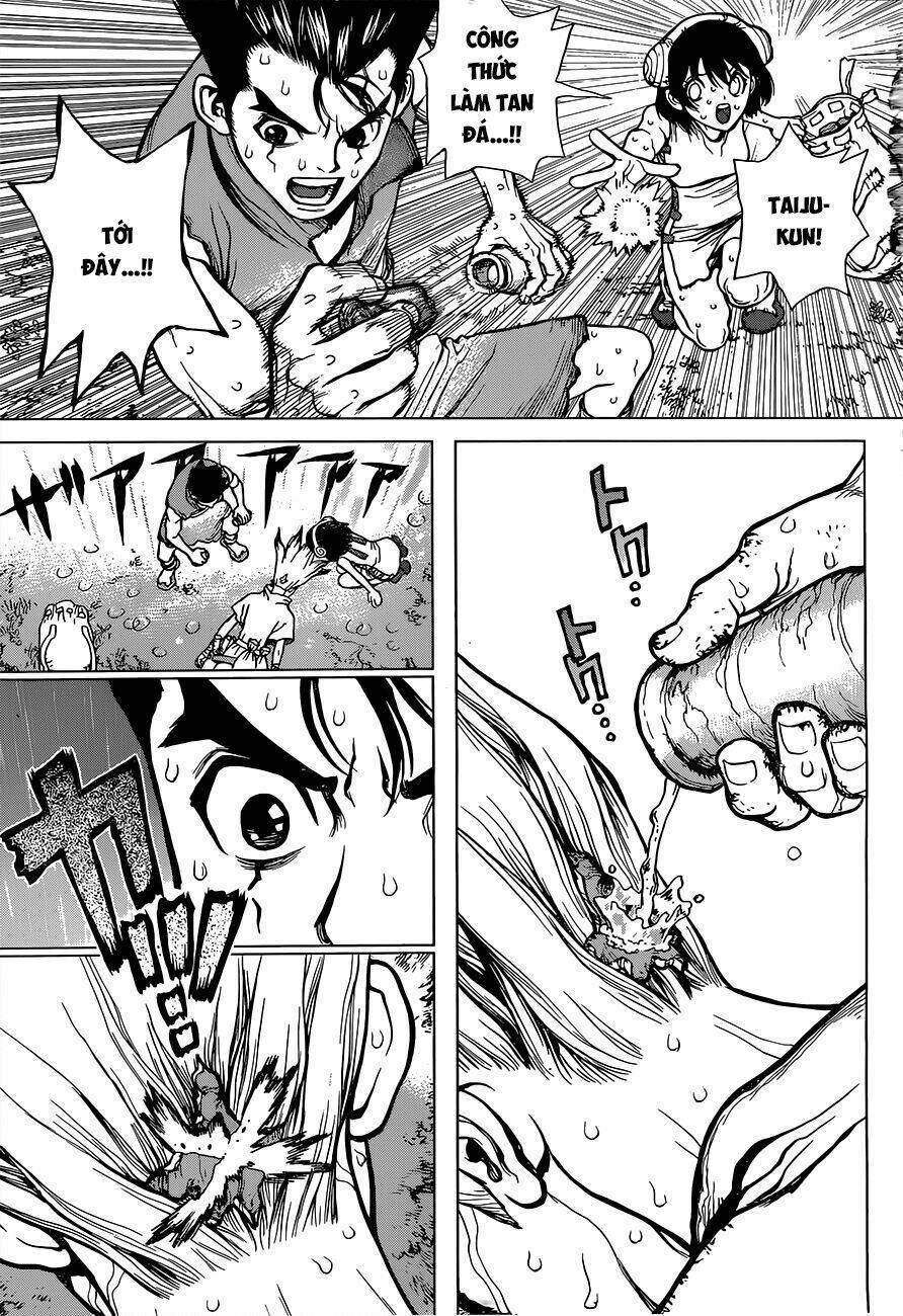 dr.stone - hồi sinh thế giới chapter 12 - Trang 2