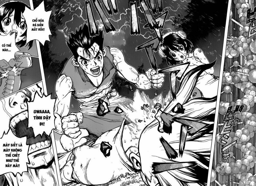 dr.stone - hồi sinh thế giới chapter 12 - Trang 2