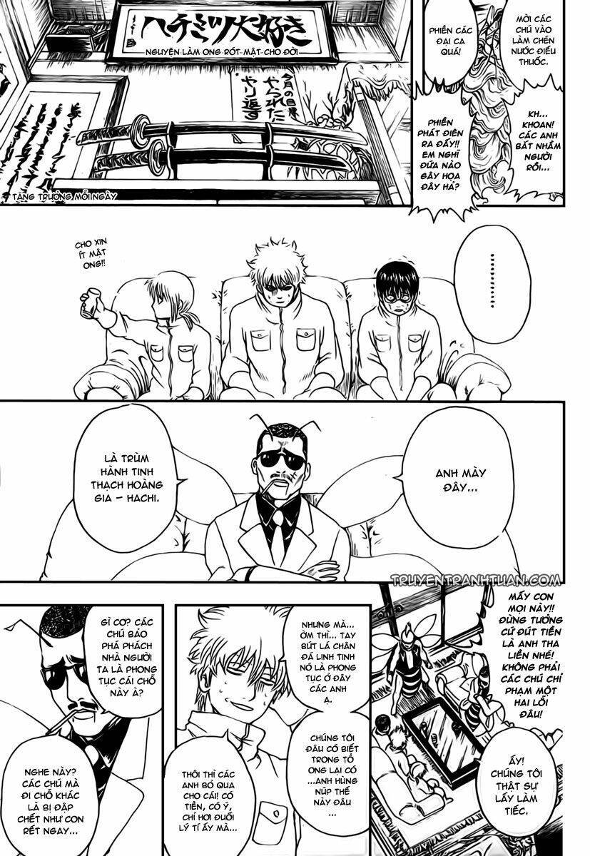 Gintama - Linh Hồn Bạc Chapter 269 - Next Chapter 270