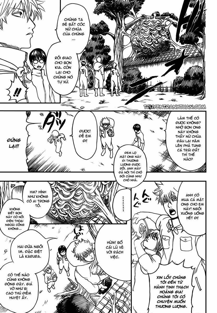 Gintama - Linh Hồn Bạc Chapter 269 - Next Chapter 270