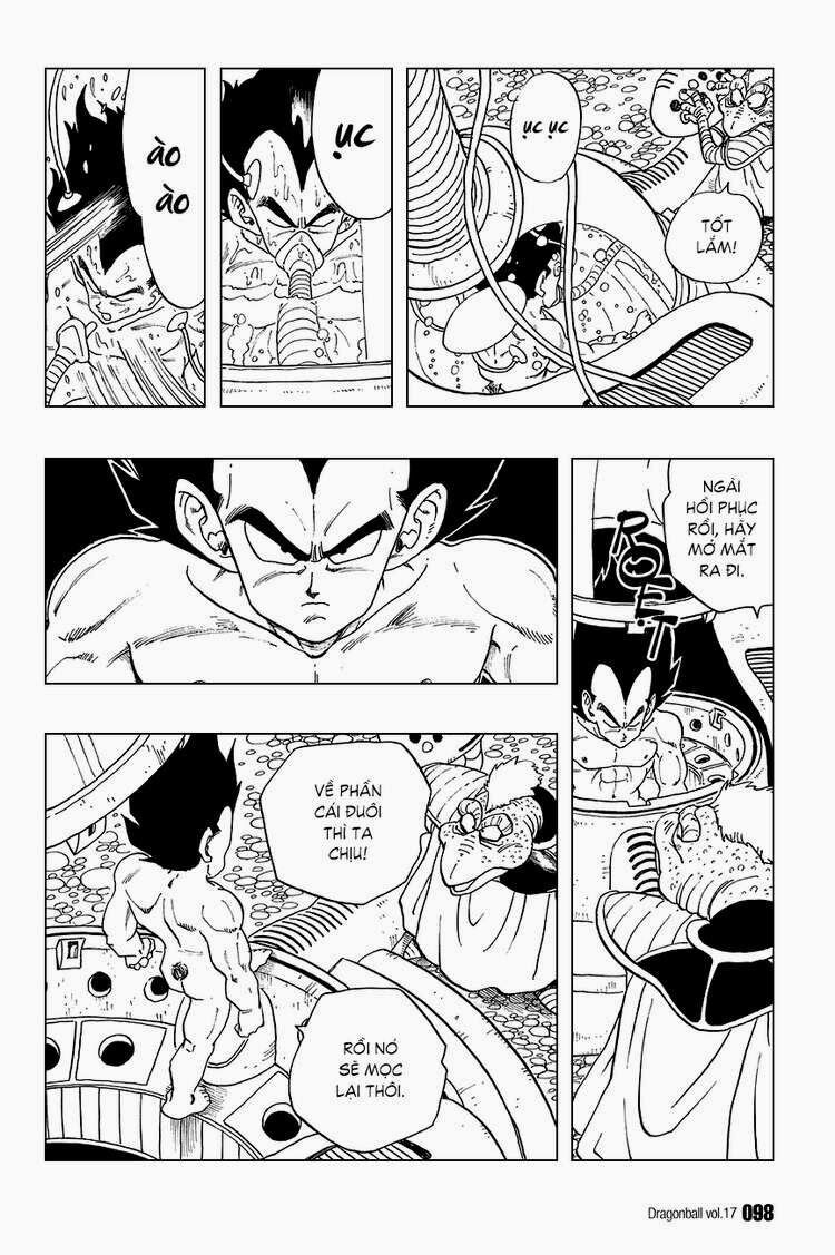 Dragon Ball - Bảy Viên Ngọc Rồng Chapter 246 - Next Chapter 247