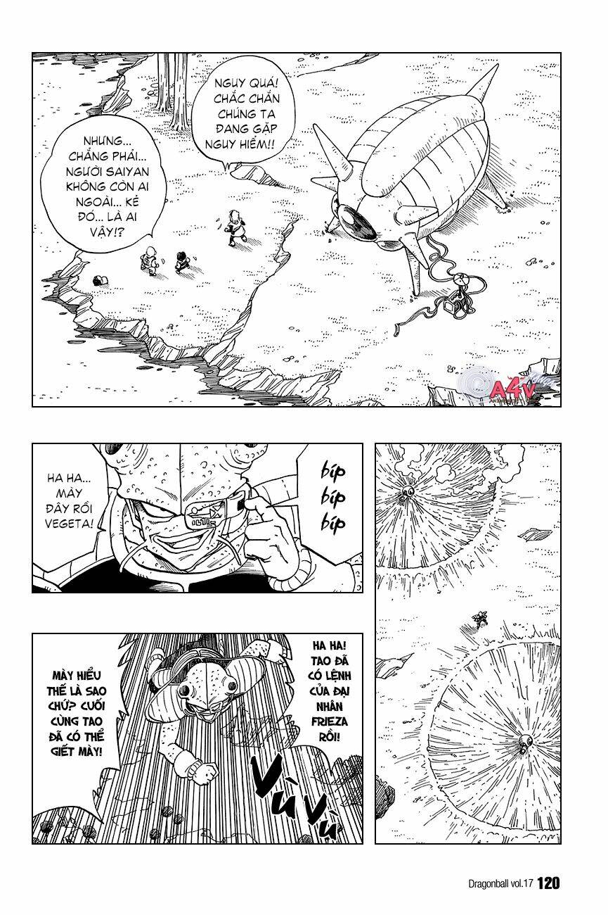 Dragon Ball - Bảy Viên Ngọc Rồng Chapter 248 - Next Chapter 249