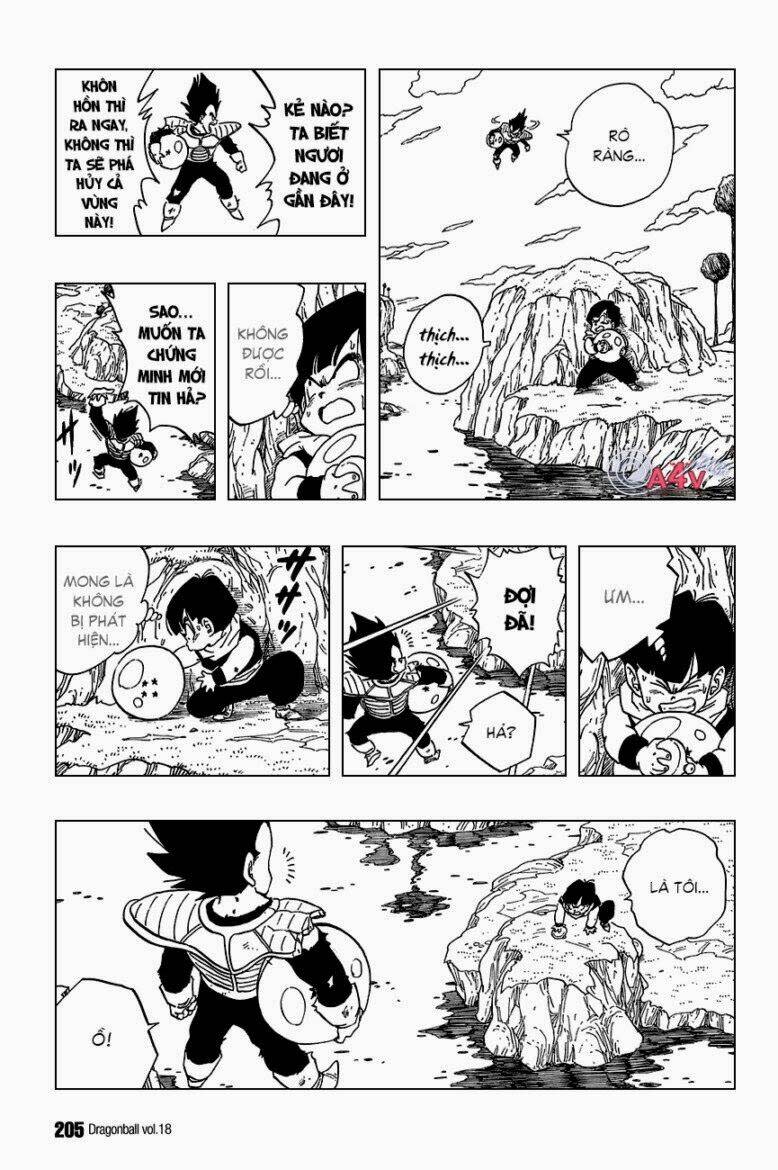 Dragon Ball - Bảy Viên Ngọc Rồng Chapter 269 - Next Chapter 270