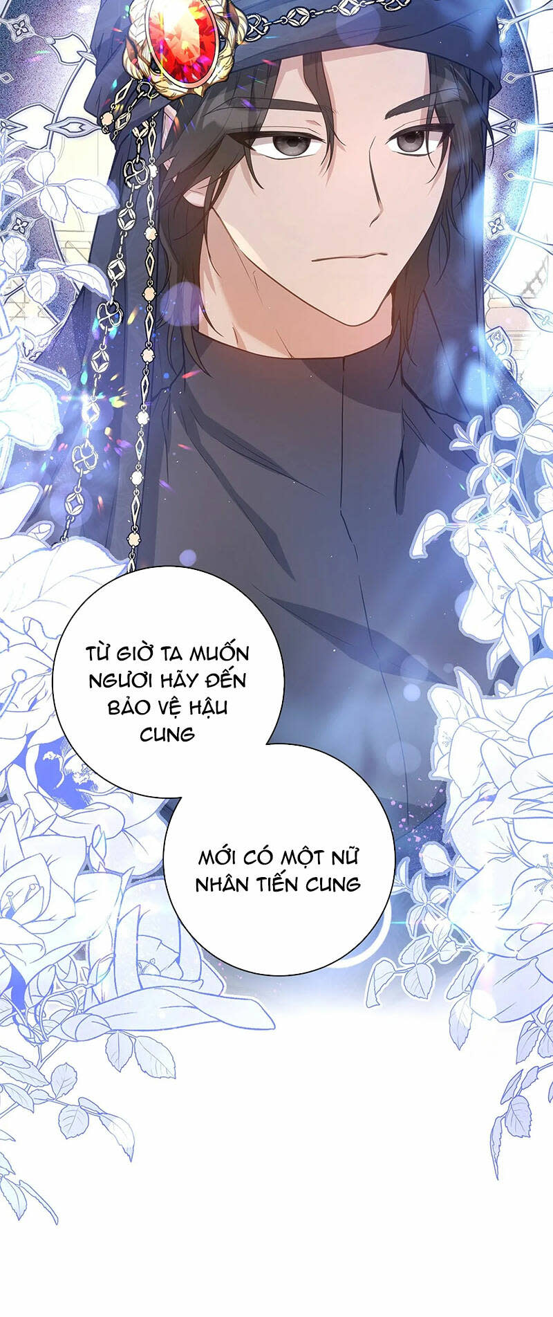 vết trăng 7.1 - Next Chapter 7.1