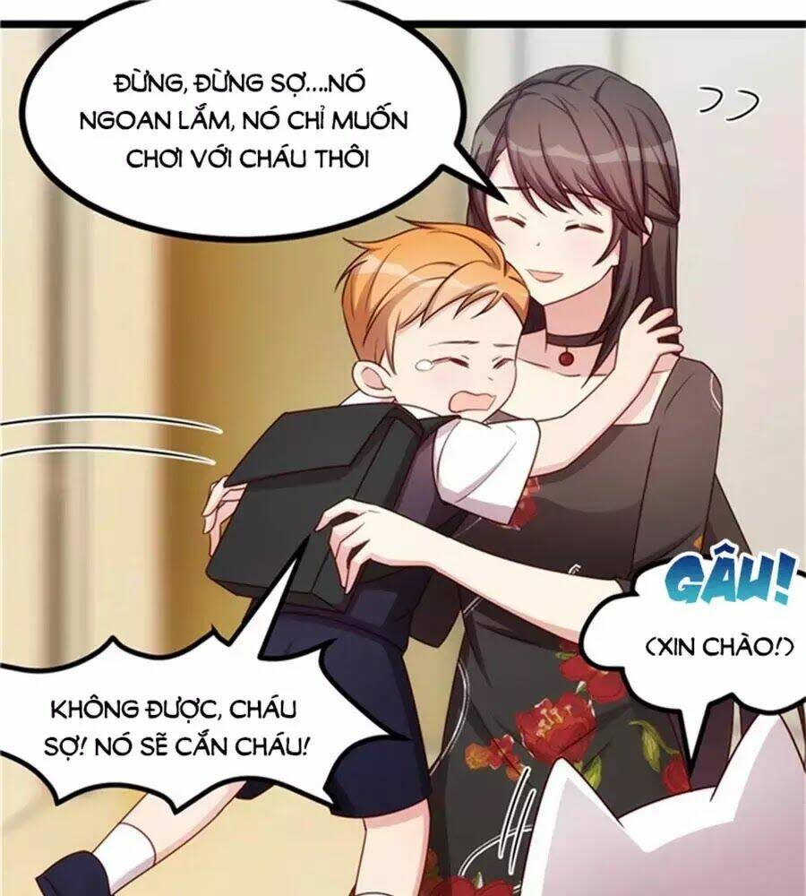 cô vợ ấm áp của hạ thiếu chapter 233 - Trang 2