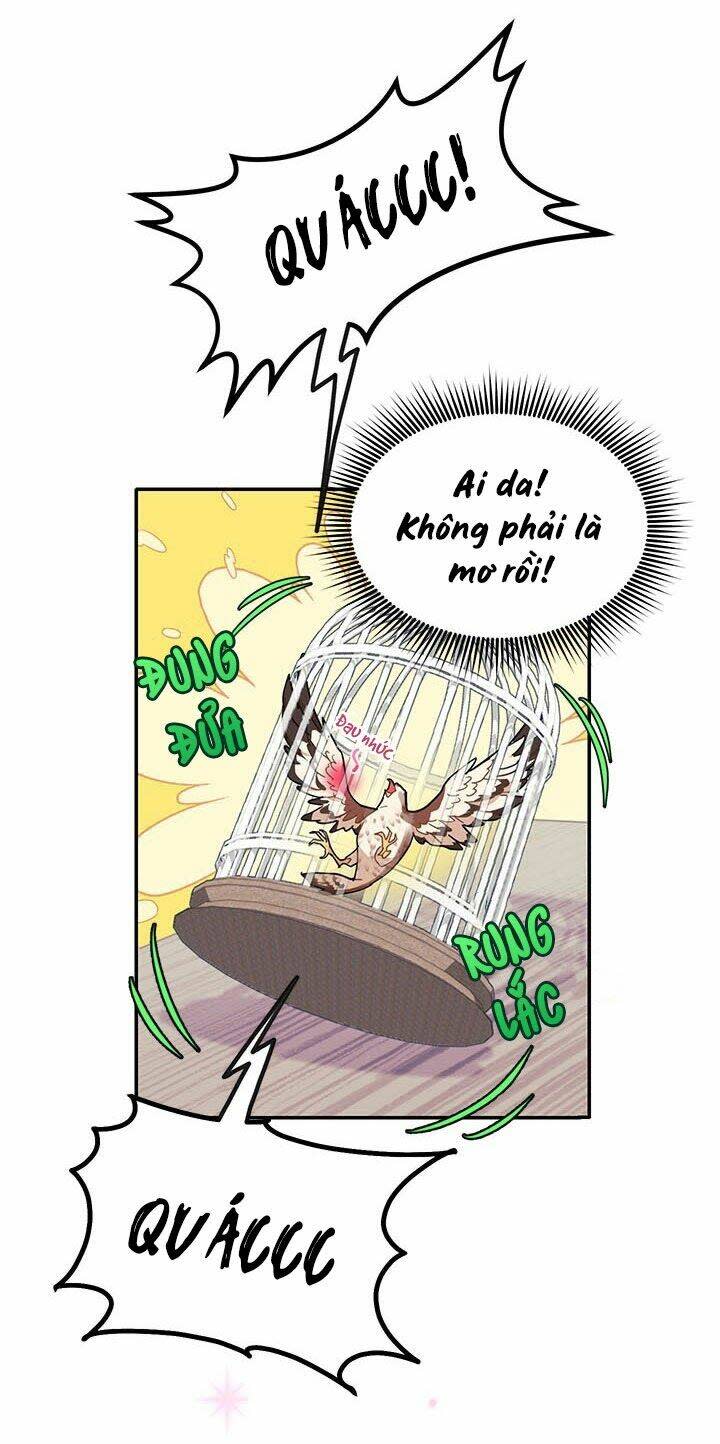 Công Chúa Của Loài Chim Chapter 2 - Trang 2