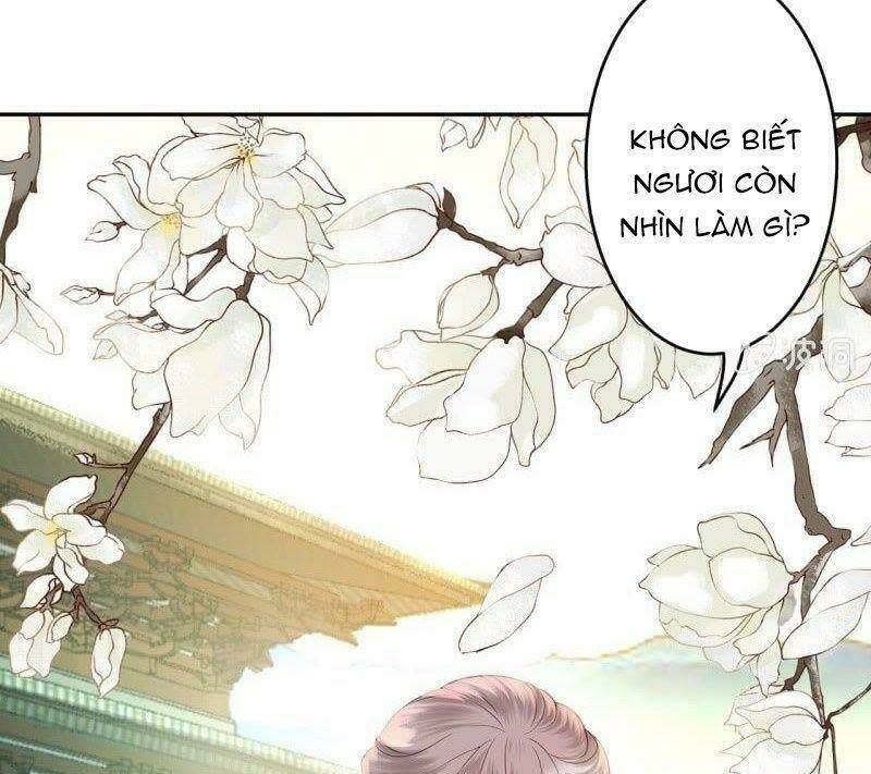 Vương Gia Kiêu Ngạo Quá Khó Cua Chapter 39 - Next Chapter 40