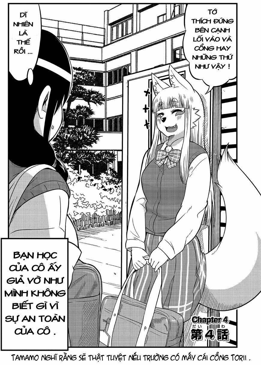 High school Inari Tamamo-chan ! Chapter 4 - Next Chapter 5