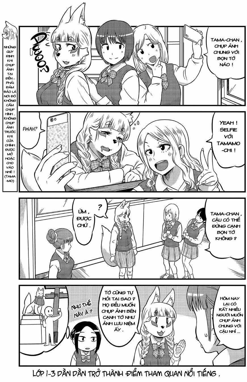 High school Inari Tamamo-chan ! Chapter 4 - Next Chapter 5