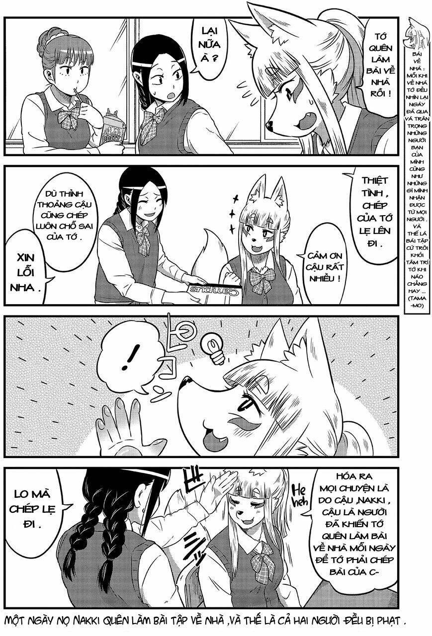 High school Inari Tamamo-chan ! Chapter 6 - Next Chapter 7