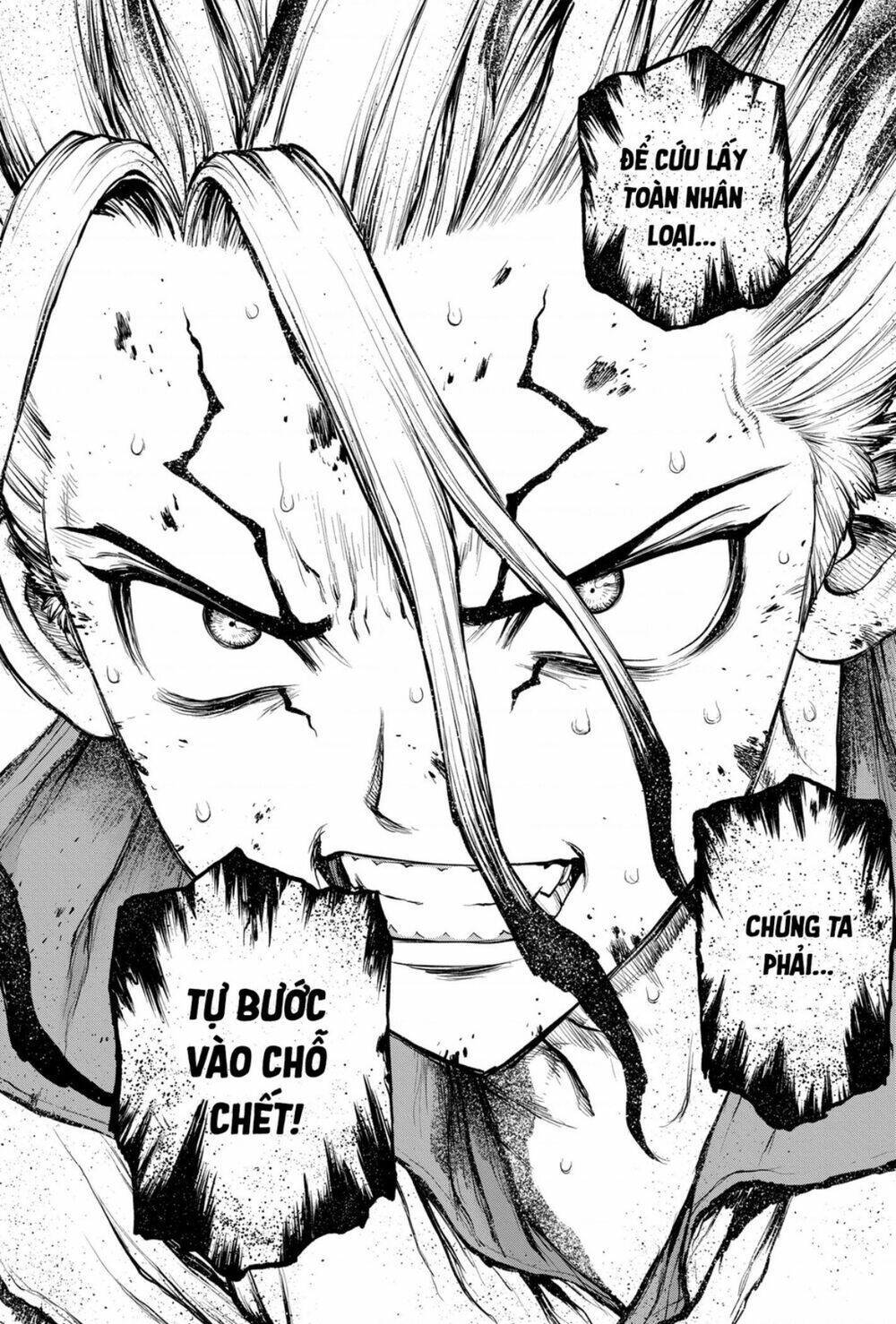 dr.stone - hồi sinh thế giới chapter 191 - Trang 2