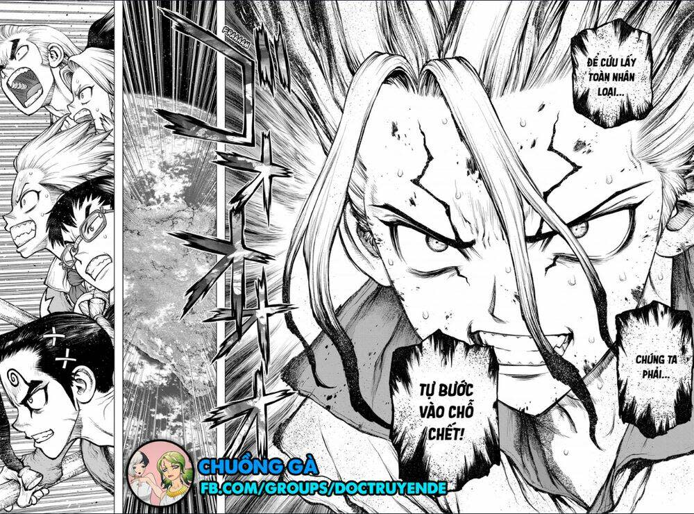 dr.stone - hồi sinh thế giới chapter 191 - Trang 2