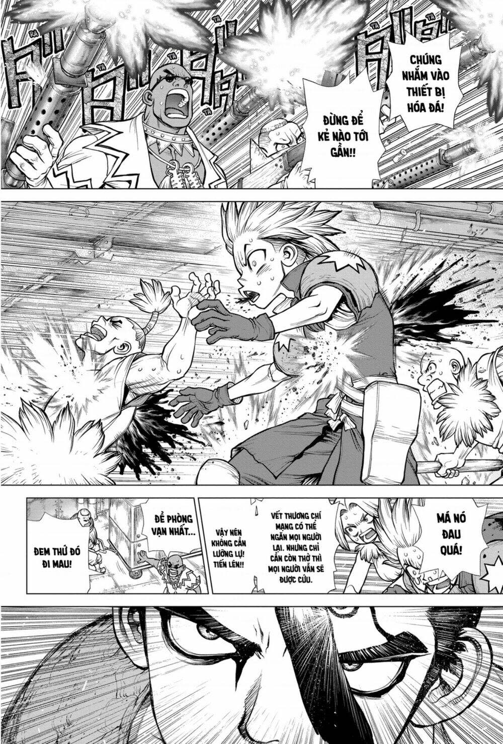 dr.stone - hồi sinh thế giới chapter 191 - Trang 2