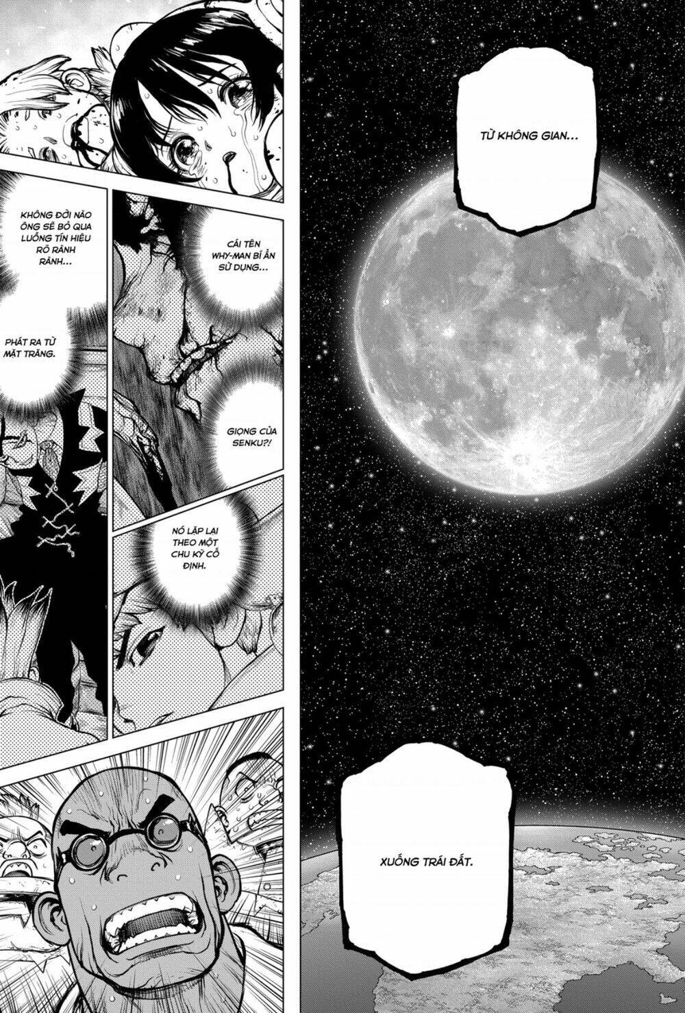 dr.stone - hồi sinh thế giới chapter 191 - Trang 2