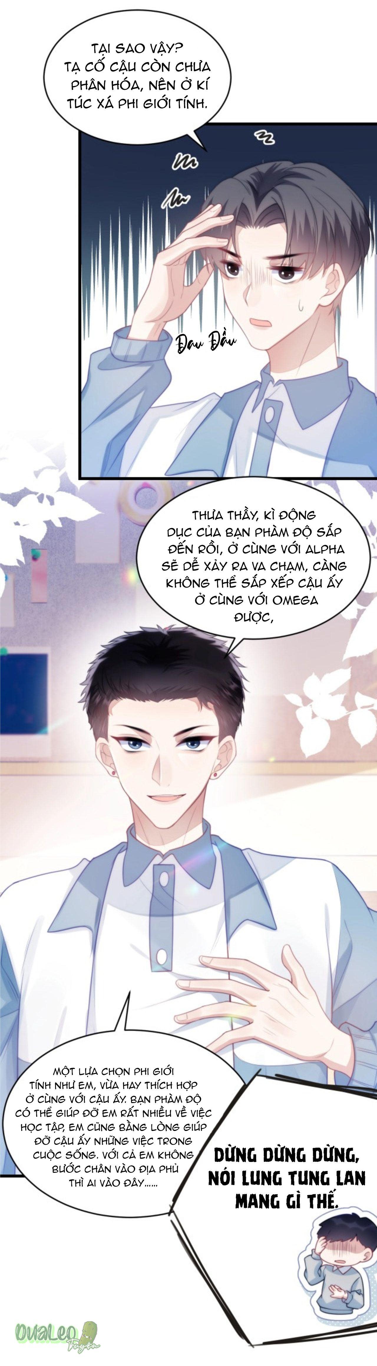 Mèo Hoang Nhỏ Của Học Bá Quá Trêu Người (END) Chapter 10 - Next Chapter 11