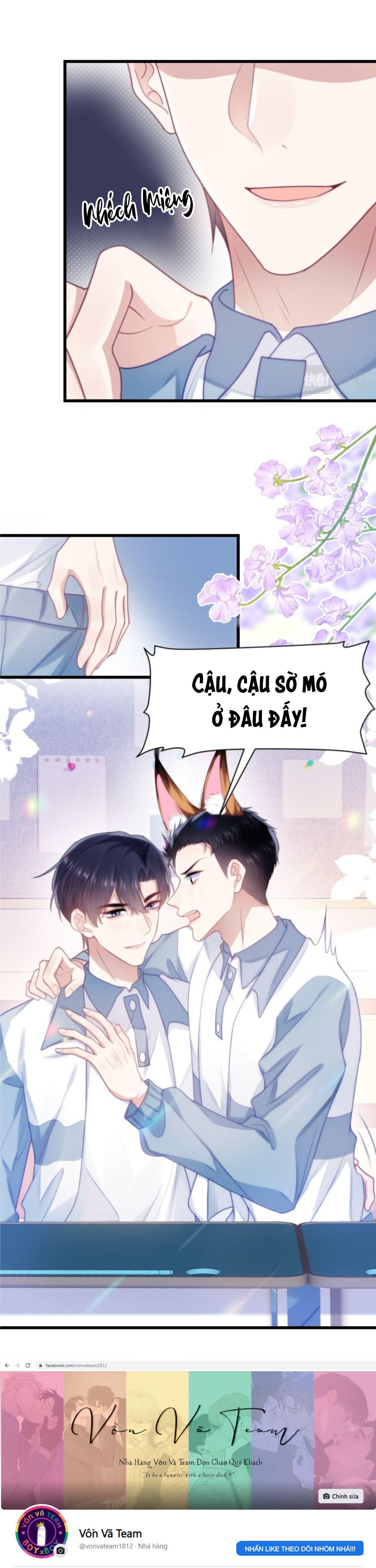 Mèo Hoang Nhỏ Của Học Bá Quá Trêu Người (END) Chapter 10 - Next Chapter 11