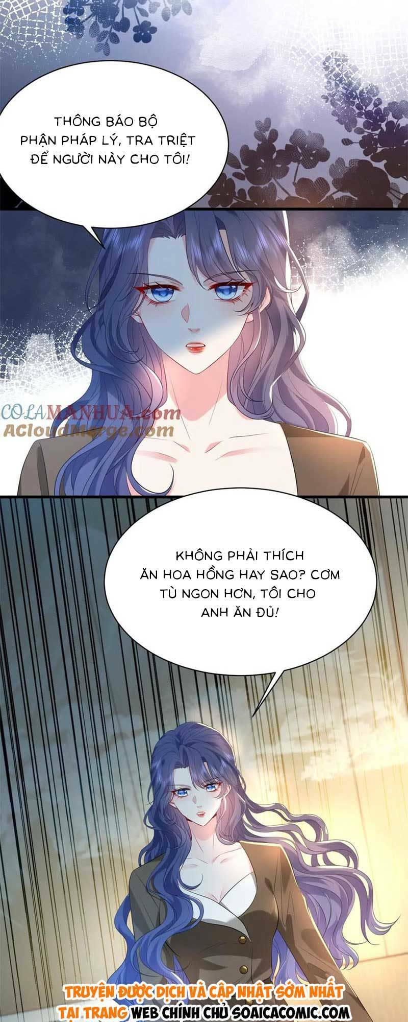 đại boss thần bí lại chiều hư vợ chapter 24 - Next chapter 25