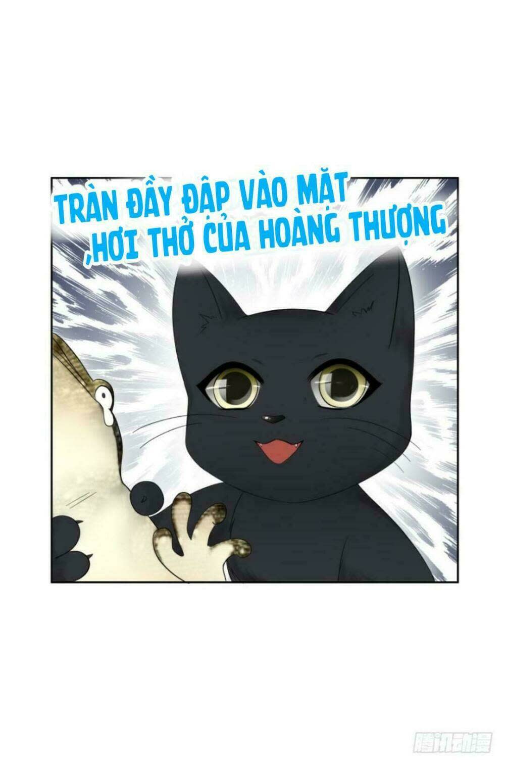 Mộ Thiếu, Lão Bà Ngươi Trọng Sinh Lại Rồi! Chapter 17 - Trang 2