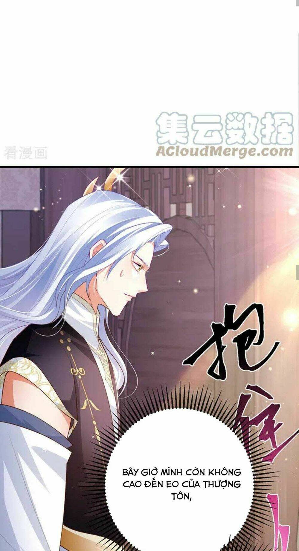 100 cách ngược tra nữ chapter 71 - Next chapter 72