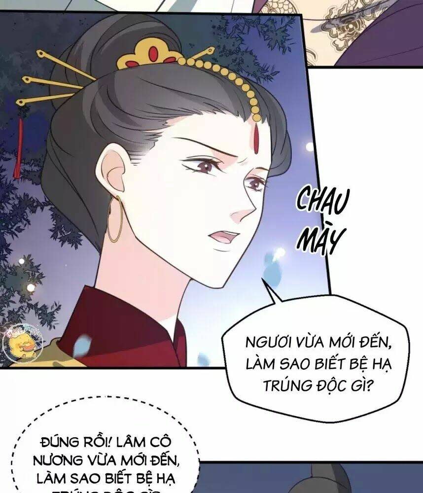 trùng sinh chuyên sủng độc phi của nhiếp chính vương chapter 57 - Next chapter 58