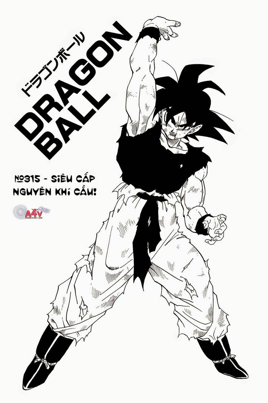 Dragon Ball - Bảy Viên Ngọc Rồng Chapter 315 - Next Chapter 316