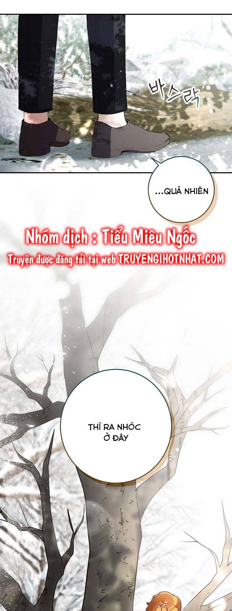 sóc nhỏ tài năng chương 53 - Next chương 54