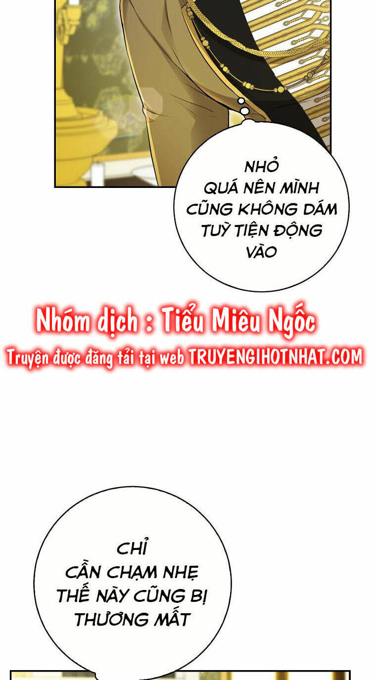 sóc nhỏ tài năng chương 43 - Trang 2