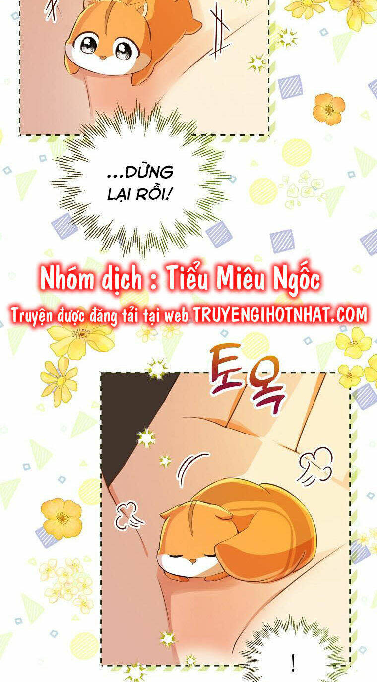 sóc nhỏ tài năng chương 43 - Trang 2