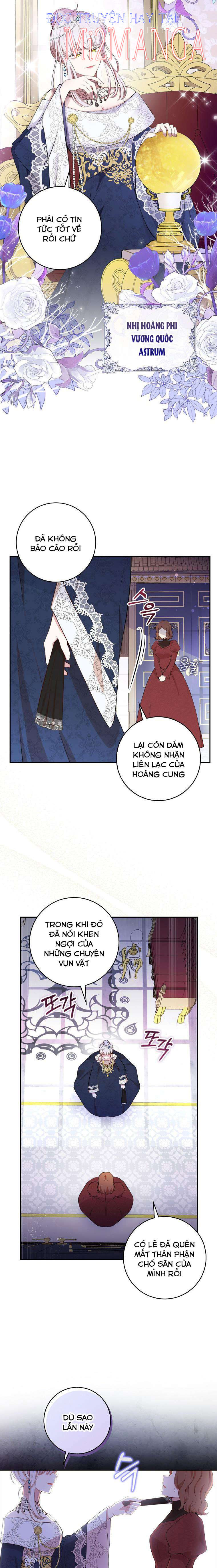 sóc nhỏ tài năng Chapter 11.2 - Next chapter 12