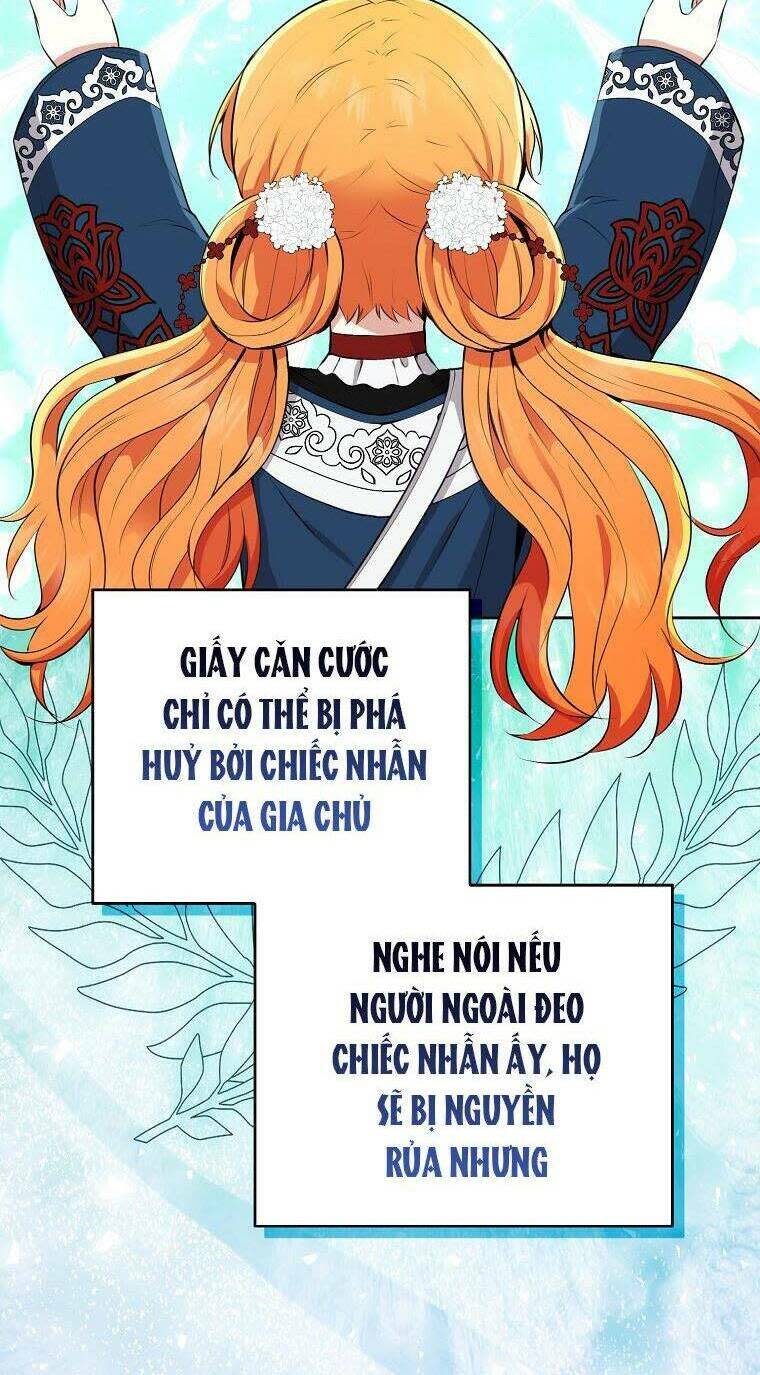 sóc nhỏ tài năng chapter 40 - Next chapter 41