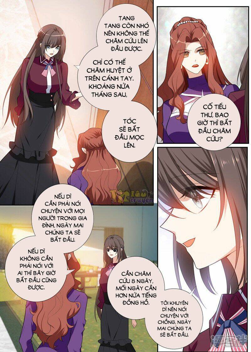 Thiếu Soái ! Vợ Ngài Lại Bỏ Trốn Chapter 259 - Trang 2