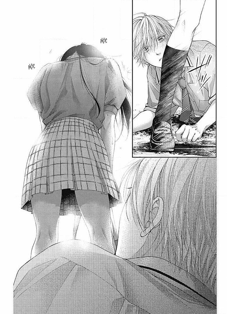 kono oto tomare! chapter 105: chika - Next chapter 106: yêu