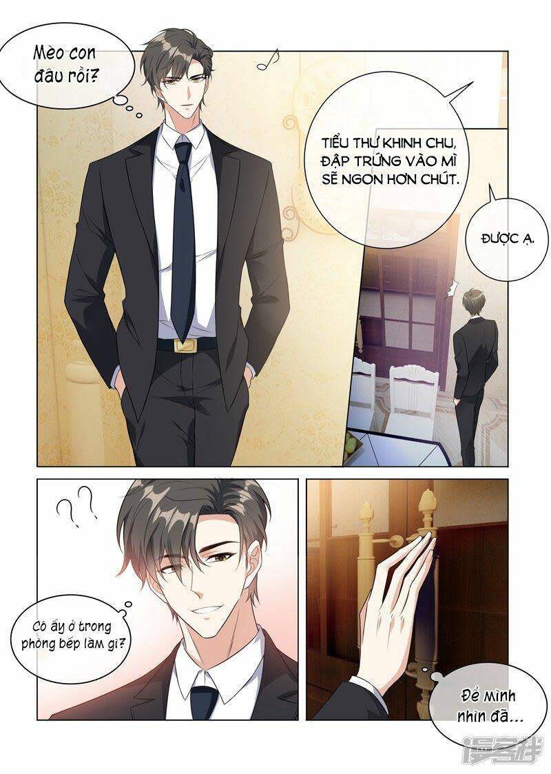 Thiếu Soái ! Vợ Ngài Lại Bỏ Trốn Chapter 229 - Next Chapter 230