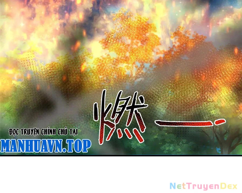 thần sủng tiến hóa Chapter 373 - Trang 2