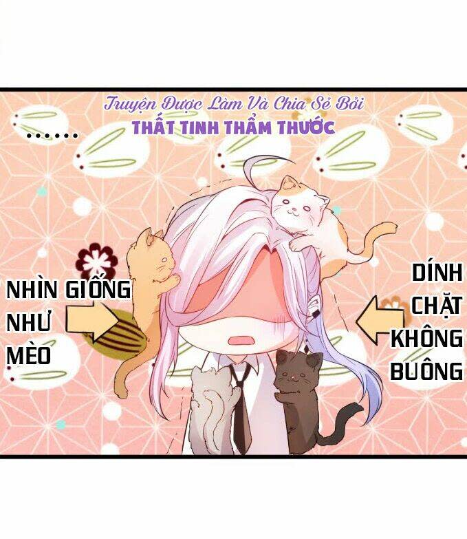 hắc đạo này có chút manh chapter 1 - Next chapter 2