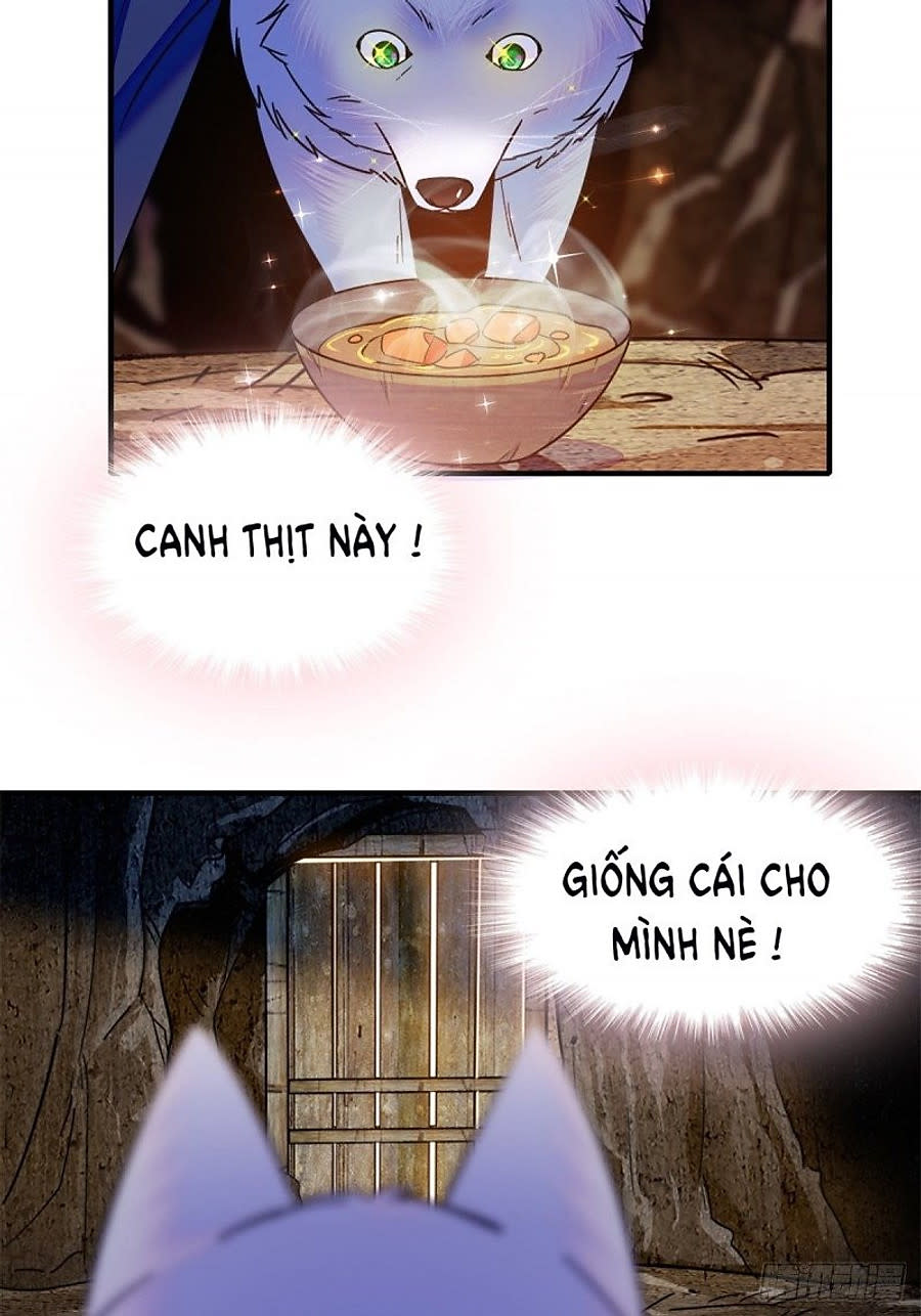 Mau Chạy !! Nam Thần Thú Thế Đến Truy Thê Chapter 50 - Next Chapter 51