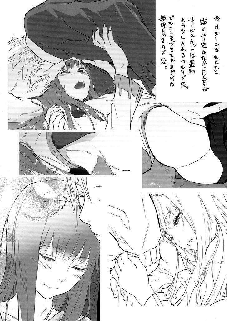 Spice and wolf Doujinshi Harvest I Chapter 1: One shot - Trang 2