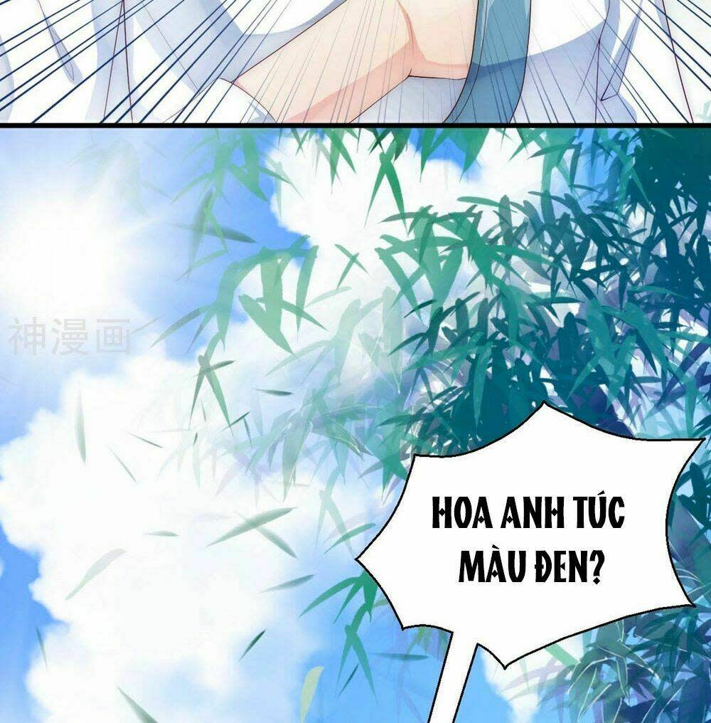 Dòng Máu Ngọt Ngào Chapter 2 - Next Chapter 2