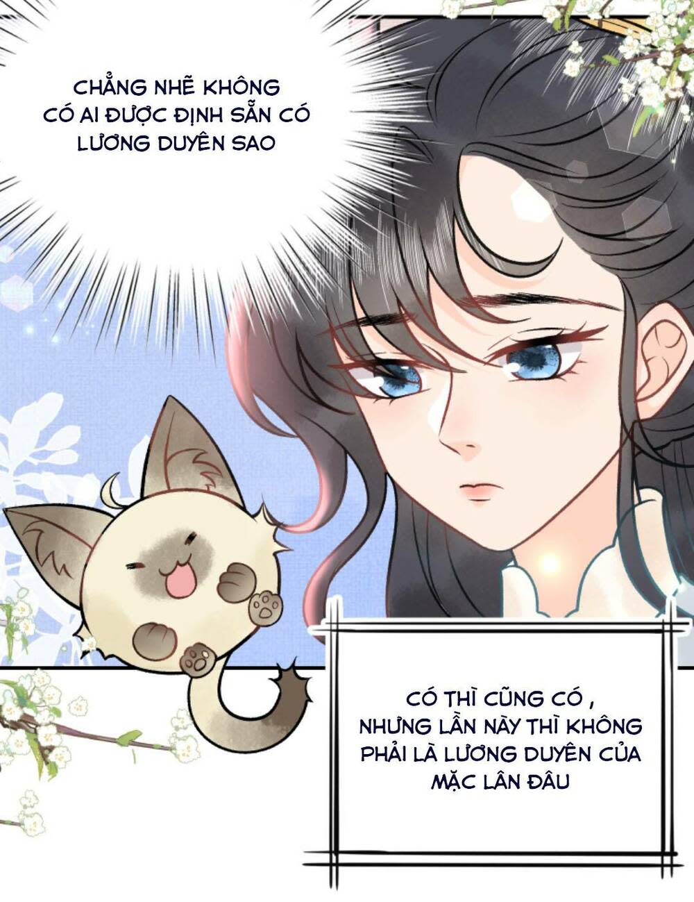 toàn tông môn đều là kẻ si tình, chỉ có ta là tỉnh táo chapter 79 - Next chapter 80