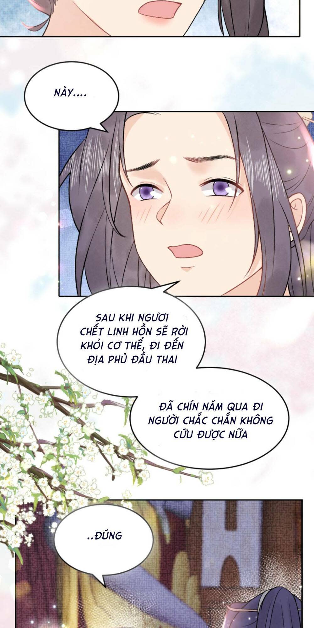 toàn tông môn đều là kẻ si tình, chỉ có ta là tỉnh táo chapter 142 - Next chapter 143